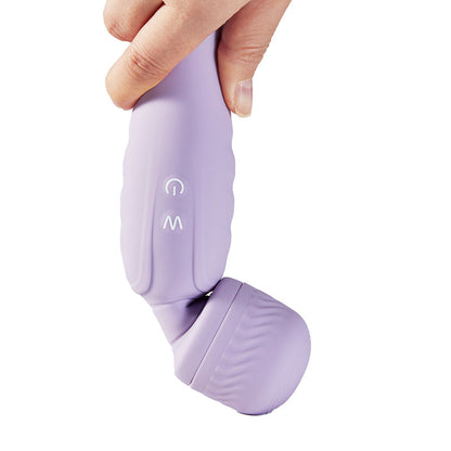 Dual Head AV Stick Clitoris Tepel Vibrator Paars